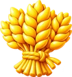 Wheat